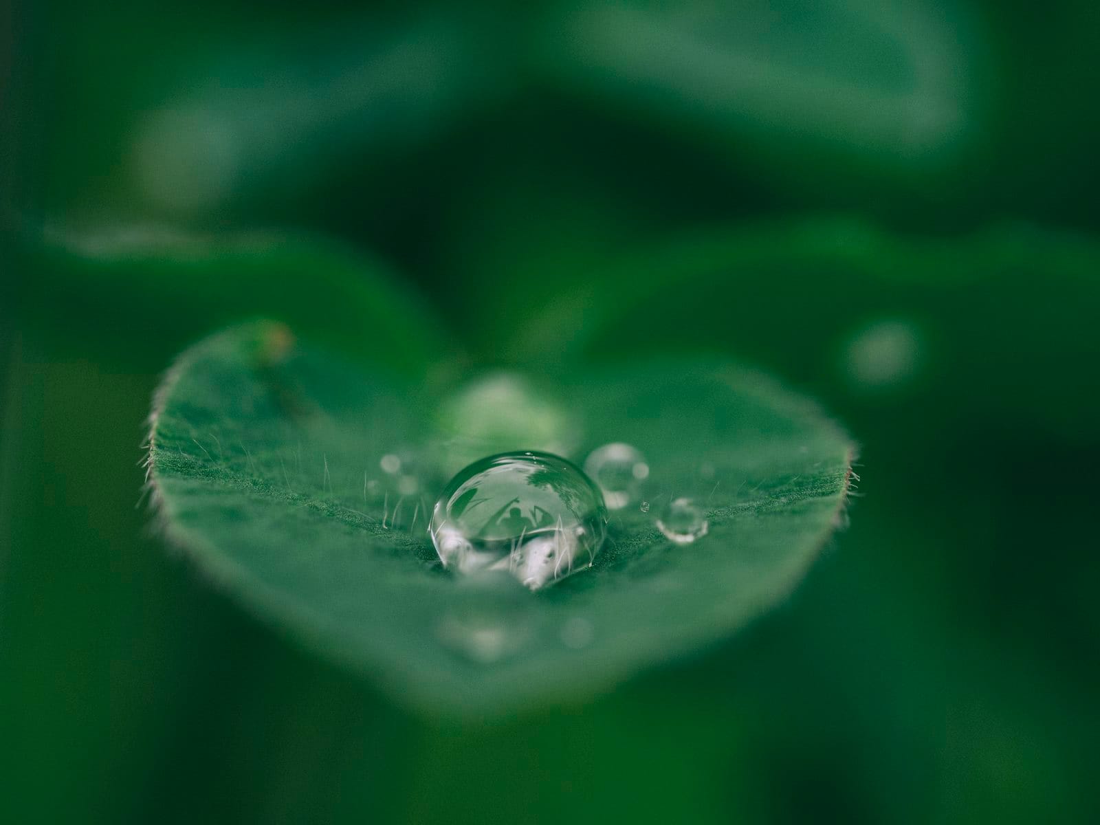 A water droplet, representing water conservation