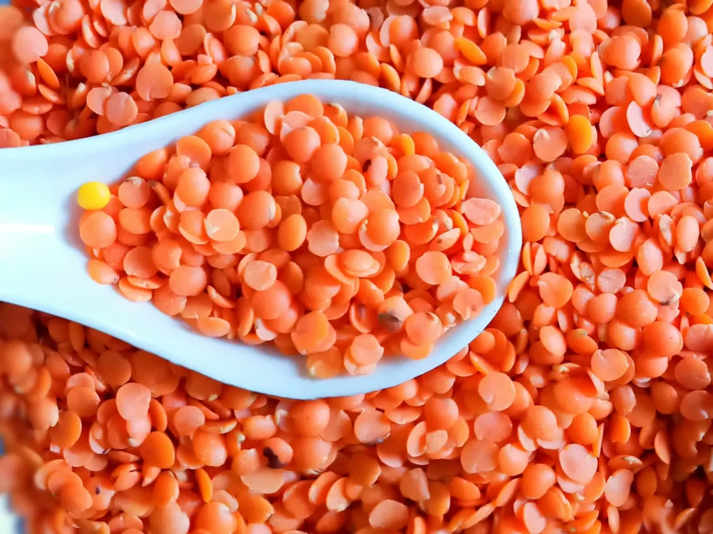 Vibrant red lentils, a staple plant-based source of protein and fibre