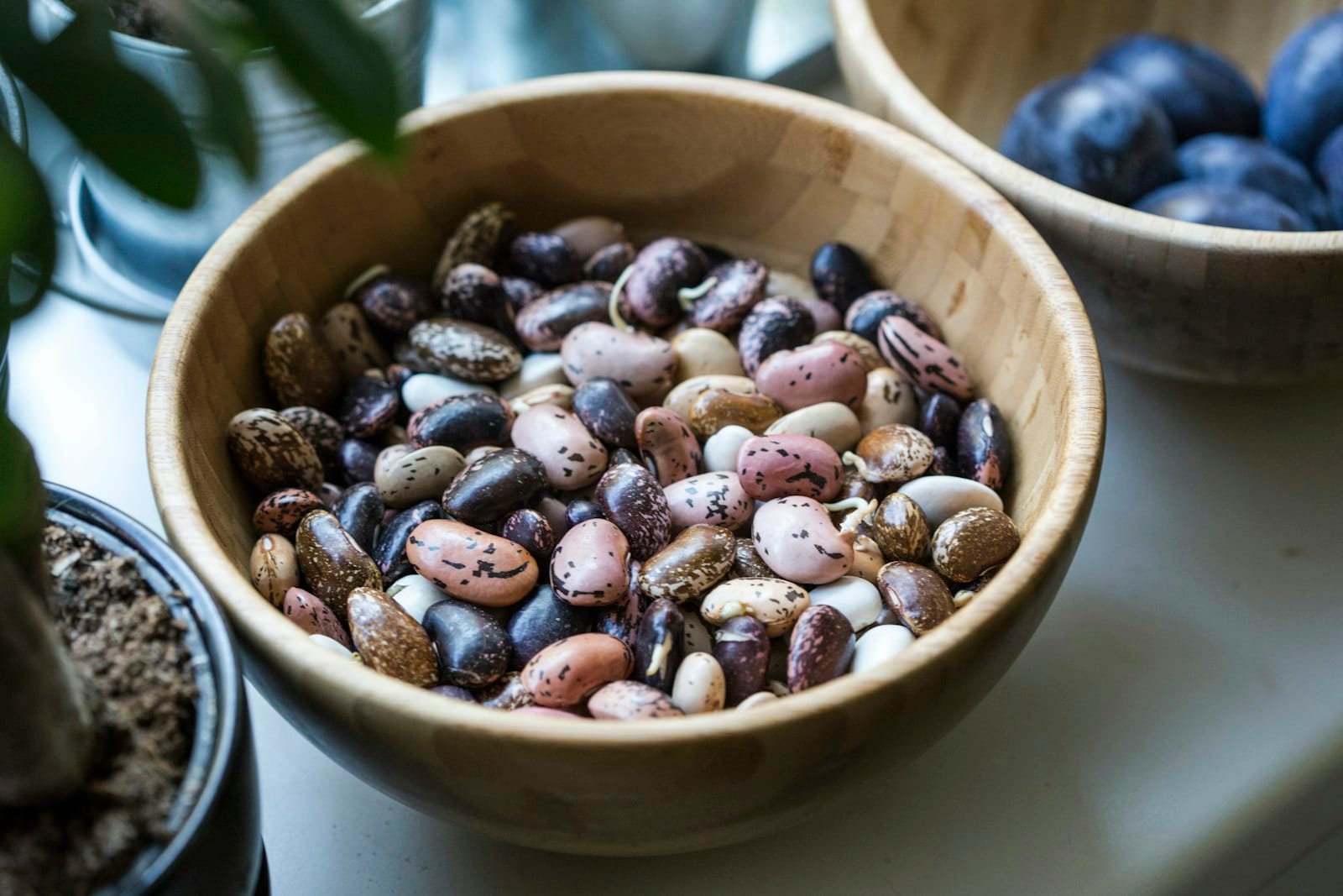 A bowl of legumes and beans