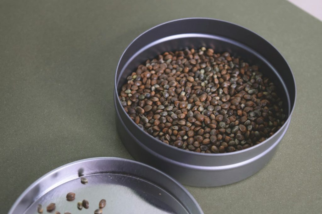A bowl of hemp seeds