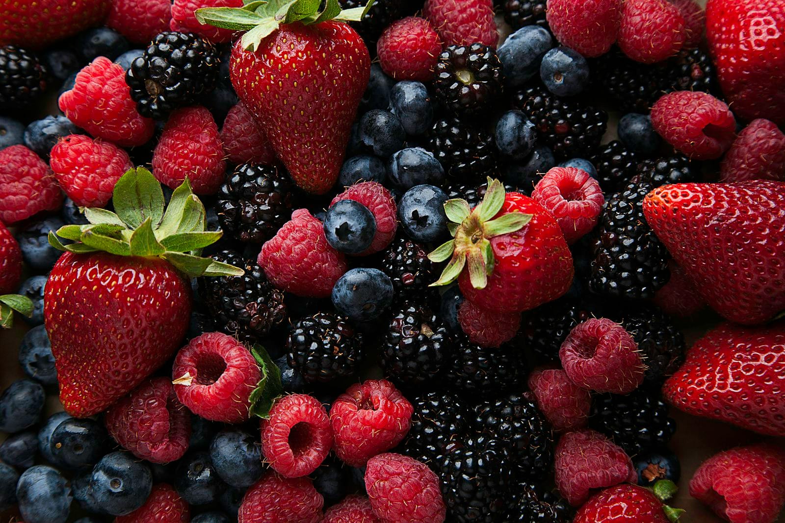 A berry sorbet with fresh fruit