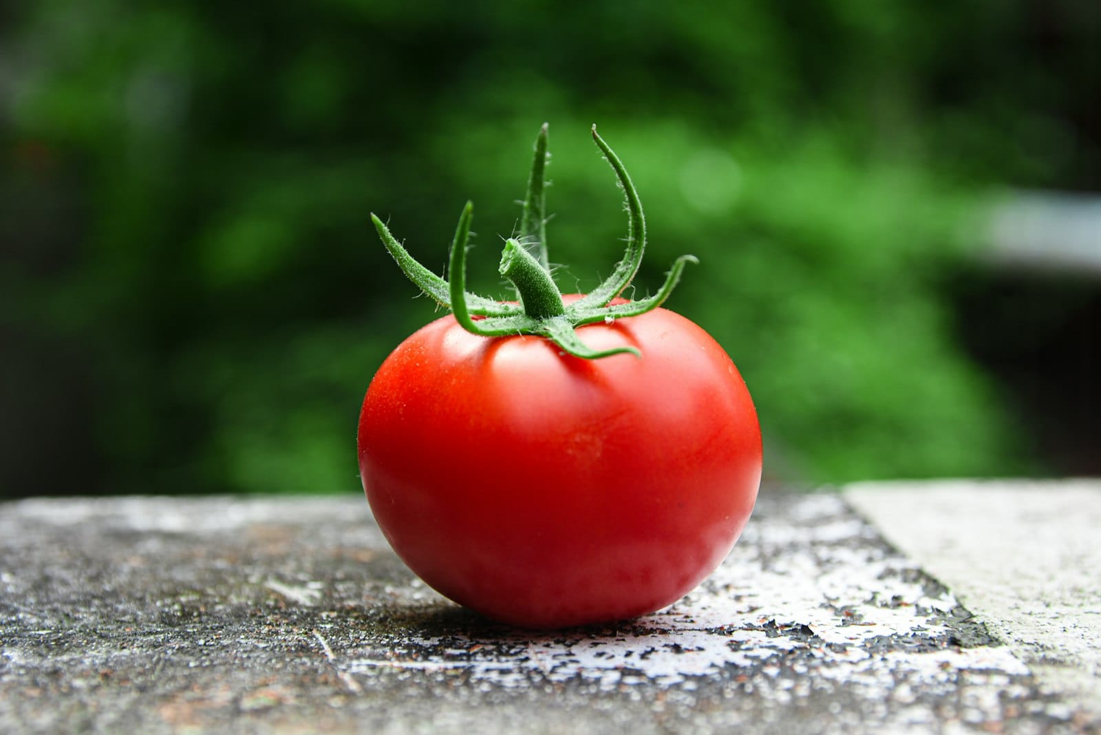 Fresh tomato salsa