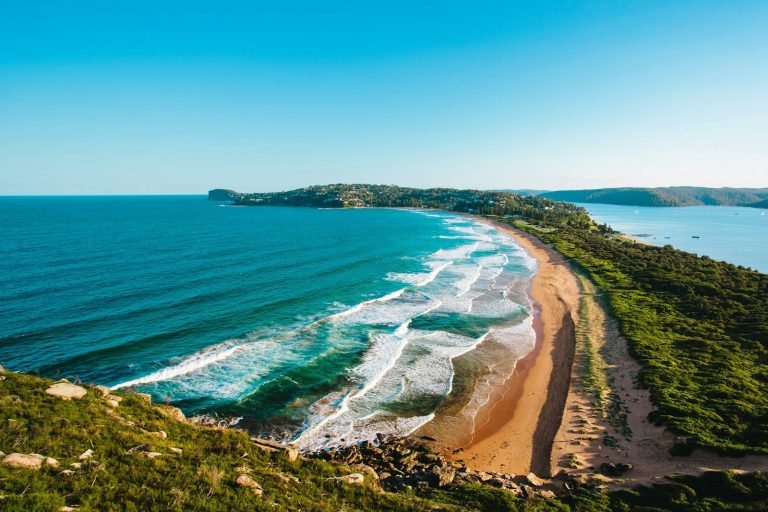 Vegan Food in Palm Beach & Currumbin
